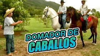 Agapito Díaz  Domador de caballos [upl. by Sallyanne]