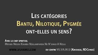 Bantu Nilotique Pygmée ontelles un sens [upl. by Nayhr]