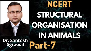 Structural Organisation in animals NCERT chapter 7 part 7 biology [upl. by Shira]