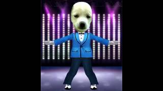 Perro bailando Gangnam style [upl. by Sotos863]