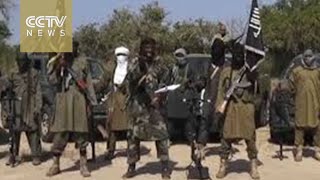 Disputes arise over Boko Haram leadership [upl. by Lemhar]