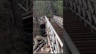 Bansko Mountain ⛰  Bulgaria travel fun wine viralvideo youtube bansko viralshorts homemade [upl. by Iarahs]