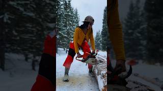 Cutting up more firewood for this winter Do you need help staying warm 😛🔥 wood chainsaw [upl. by Kelula]