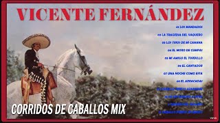 VICENTE FERNANDEZ PUROS CORRIDOS DE CABALLOS MIX 🔥 VICENTE FERNANDEZ LAS MEJORES RANCHERAS [upl. by Auqemahs]