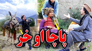 Bacha Ao Khar  Pashto New Funny Video 2021  Kabul Vines [upl. by Laure]