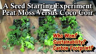 A Seed Starting Experiment  Peat Moss v Coco Coir Who Won Environmental Concerns Your Choice [upl. by Laise]