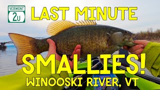 Two Last Minute Smallies Winooski River Vermont [upl. by Ynad]