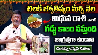 మిథున రాశి వారికి గడ్డు కాలం వస్తుంది Chilaka Jyoshyam  Gemini Zodiac Sign  Times Of Devotion [upl. by Zima]