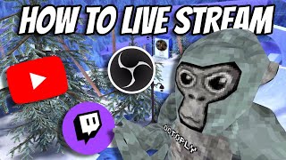 How to make a gorilla tag live stream 2024 [upl. by Frantz]