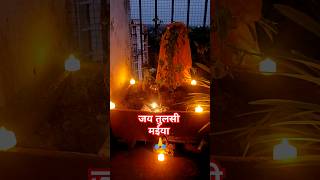 Tulsi Maiya suno meri prathana 🙏shorts tulsi viralvideo song [upl. by Colier]