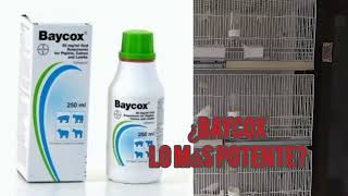 ¿BAYCOX ES EL ANTIPARASITARIO MAS POTENTE PARA AVES [upl. by Lohrman672]