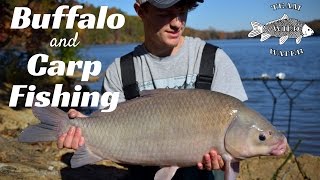 Buffalo and Carp Fishing in Lake Wateree  New PBs [upl. by Jim]