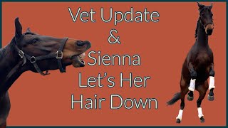 Horses Vet Update amp Sienna Let’s Her Hair Down [upl. by Rebekkah221]