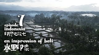 印尼之旅七 峇里印象  Indonesia Episode 7  An Impression of Bali [upl. by Ceevah]