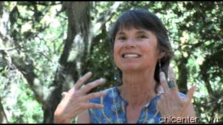 Qigong can heal Lyme Disease and More my Wisdom Healing Qigong Story by Vivienne [upl. by Baseler]