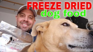 FREEZE DRIED DOG FOOD RECIPE Homemade vs Store Bought [upl. by Rabi126]