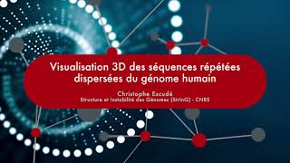 Visualisation 3D des séquences répétées dispersées du génome humain [upl. by Loeb]