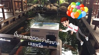 รีวิวปั้มน้ำปั้มตู้ปลา SOBO WP4880 ดีเกินราคาถามจริงราคานี้ได้ขนาดนี้เลยหรือ [upl. by Floria96]