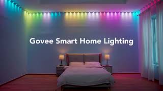 Govee RGBIC String Downlights  Smart RGBIC Ambient WallCeiling Light [upl. by Letsirhc]