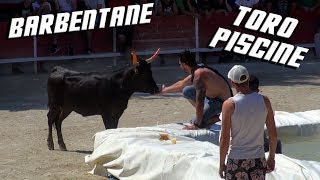 BARBENTANE TORO PISCINE 27052017 🐮 [upl. by Jasmina]