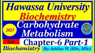 carbohydrates metabolism part1 interview exam digestion biochemistry 2024 [upl. by Irrep]