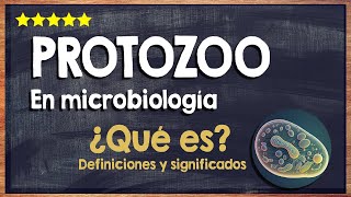 🙏 ¿Qué es un protozoo  Glosario de microbiología 🙏 [upl. by Warwick]