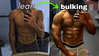 How to LEAN BULK no bs guide [upl. by Moitoso62]