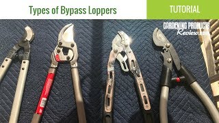 Types of Bypass Loppers Whats the Difference Between Ratcheting Geared amp Compound Loppers [upl. by Ennovart]