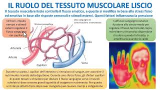 LA STRUTTURA E FUNZIONE DEI VASI SANGUIGNI [upl. by Richlad]