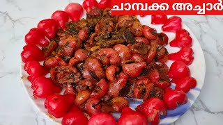 Chambakka Achar  Chambakka pickle recipe ചാമ്പക്ക അച്ചാർ  Rose Apple Pickle [upl. by Wilhide]