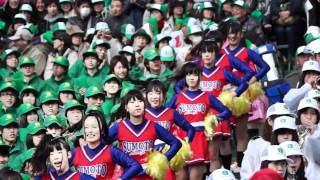 洲本高校（洲高）甲子園での応援1新 （2012年3月24日） [upl. by Nnaycart]