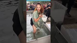 In China such games are played Madin in China 🤯😱 shortvideo amazingfacts [upl. by Marou]