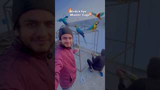 😱Master cage aise bnao🦜 How to make master cage birds shorts parrot animals [upl. by Piefer]