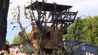 24YearOld Tree House in Danger of Being Torn Down [upl. by Rebbecca]