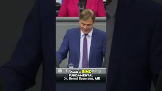 STOPPT die MASSENIMMIGRATION Dringender Aufruf im Bundestag [upl. by Trofmoc]