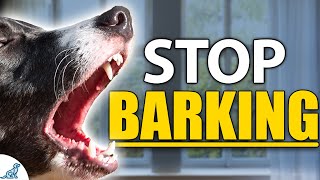 STOP Your Dog From Barking Indoors  Complete Guide [upl. by Isadora]