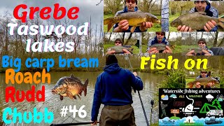 Grebe Taswood Lakes fishing big carp bream roach Rudd Chubb float amp boilie rods out coarse angling [upl. by Attenol869]