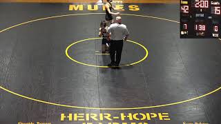 Varsity Wrestling Live Solanco vs Penn Manor [upl. by Stevie]