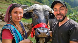 I Gifted 800 Buffalo to Nepals Kindest Family🇳🇵emotional [upl. by Lilhak]