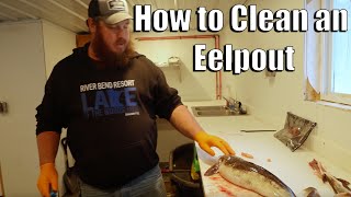 How to Clean an Eelpout [upl. by Anilad]