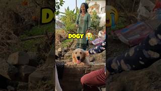 Cute Adventure 🥺 Dogvlog shorts vlog vlogger [upl. by Marcela713]