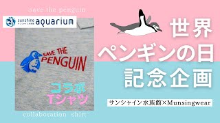 【世界ペンギンの日】 サンシャイン水族館×Munsingwear「コラボポロシャツ」その２ [upl. by Eceertal]