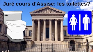 Juré de Cours dAssise comment ça se passe pour aller aux toilettes pendant le procès pipi caca [upl. by Merri]