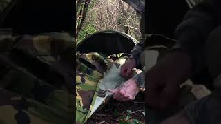 Dutch Army Hooped Bivvy  British Army Basha  DPM Wild Camping [upl. by Zednanref]