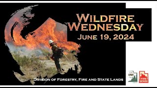 Wildfire Wednesday June 19 2024 [upl. by Euqor]