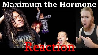 First Time Hearing MAXIMUM THE HORMONE REACTION [upl. by Maddie]