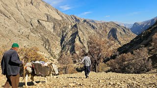 🚶 ♂️🌄 Crossing difficult roads to reach home with food of nomadic life 🍽️🏕️ [upl. by Tyree46]