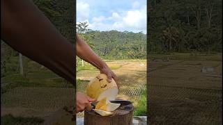 Its easy to peel yellow coconut with a sharp knife asmr satisfying fruit shorts [upl. by Doomham]