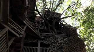 Middle Distance RunnerMinisters Treehouse [upl. by Ednil]