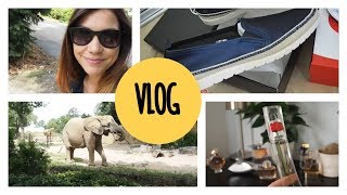 Vlog  ZOO  oblíbené parfémy  lowcarb koláče [upl. by Bil]